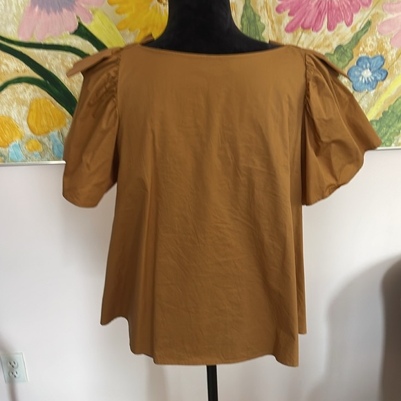 Fall Flutter Sleeve Top - Picture 6 of 8